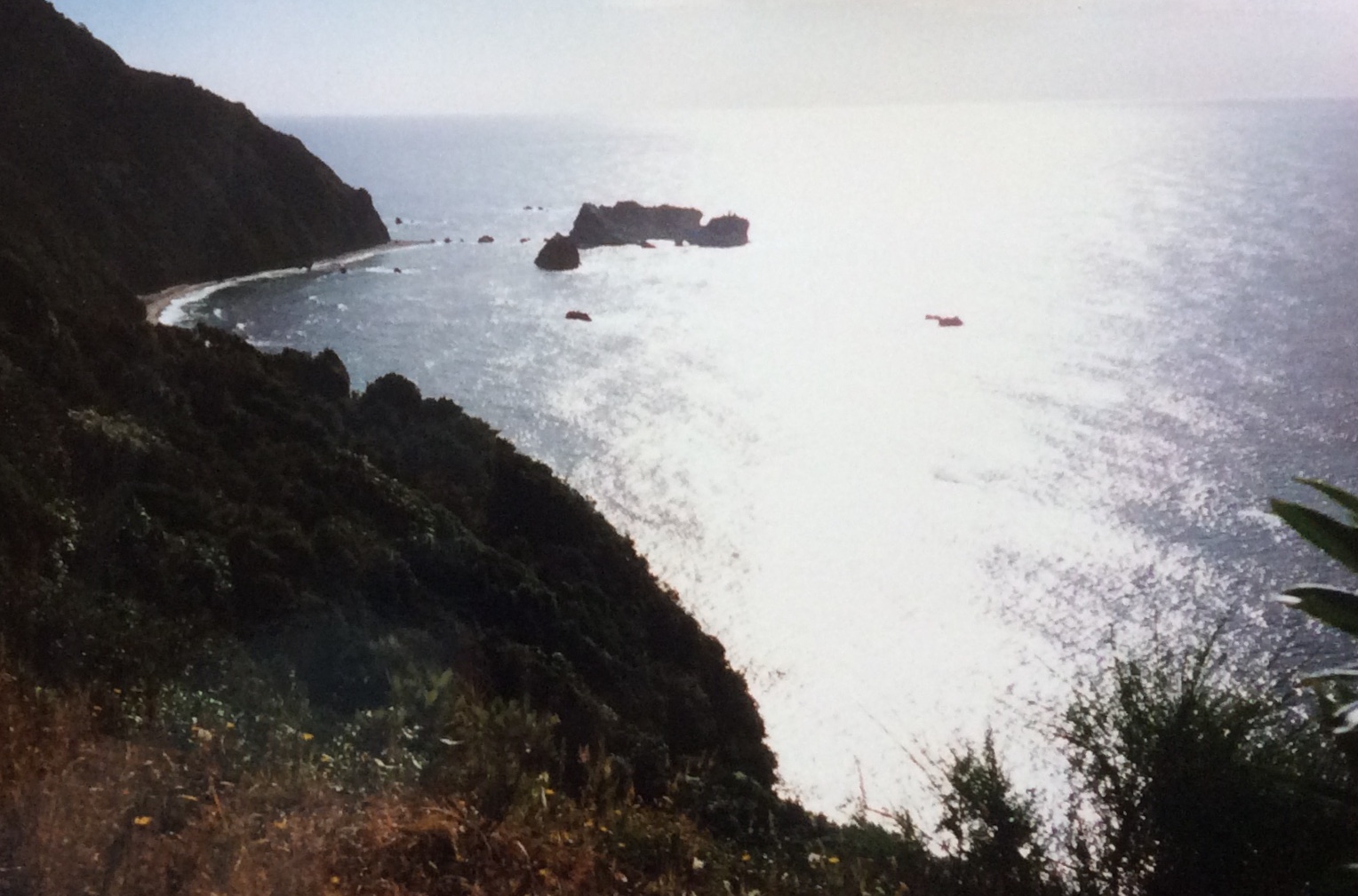 West Coast 2