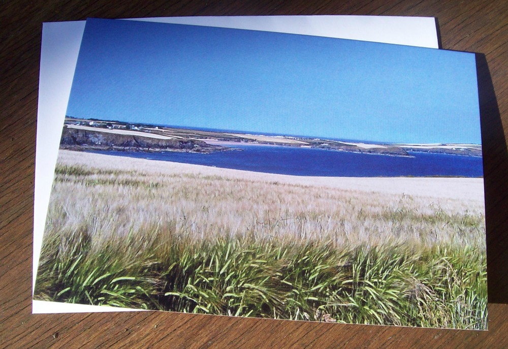 Harvest fields Trevone